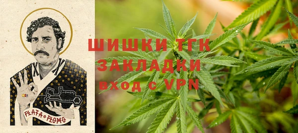 ешки Алексин