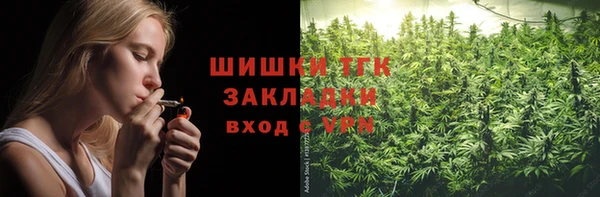 ешки Алексин